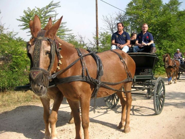 rutas a caballo la retienta4.jpg